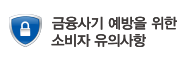 금감원 금융사기 예방유의사항