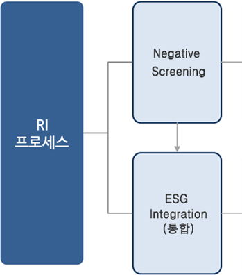 RI 프로세스